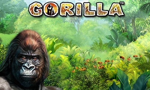 Spiele Gorilla